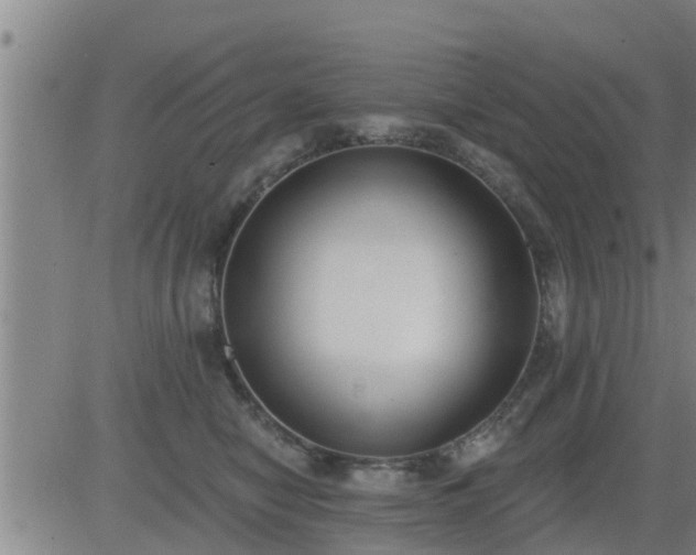 X0000083530470200702161917