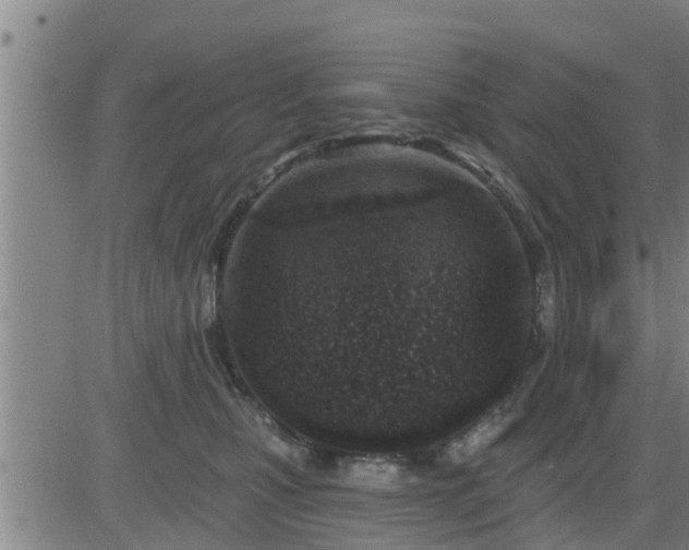 X0000083530471200702161917