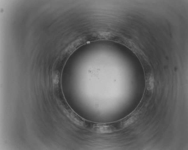 X0000083530472200702161917