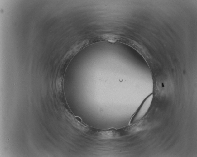 X0000083530473200702161917