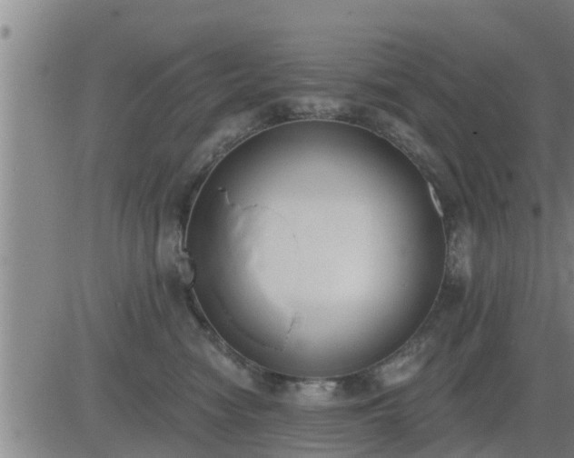 X0000083530474200702161917