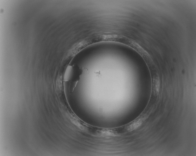 X0000083530475200702161917