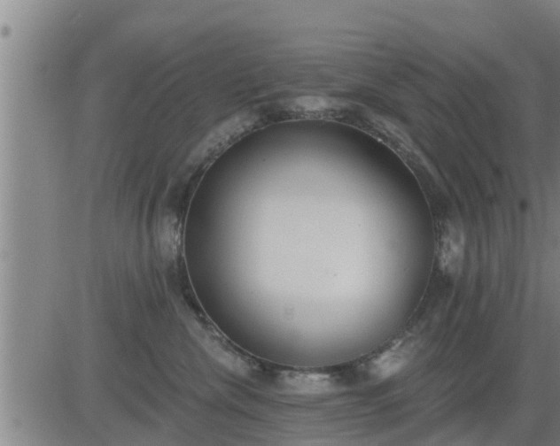 X0000083530476200702161917