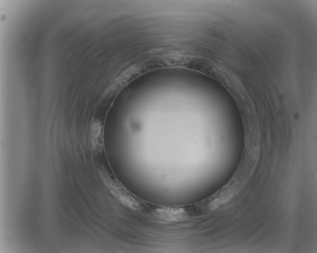 X0000083530480200702161917