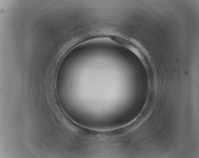 X0000083530481200702161916