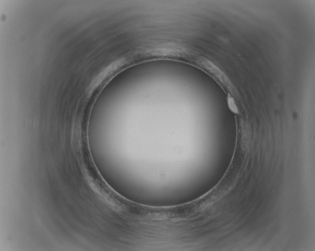 X0000083530482200702161916