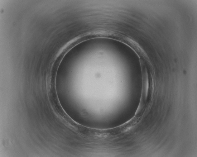 X0000083530484200702161916