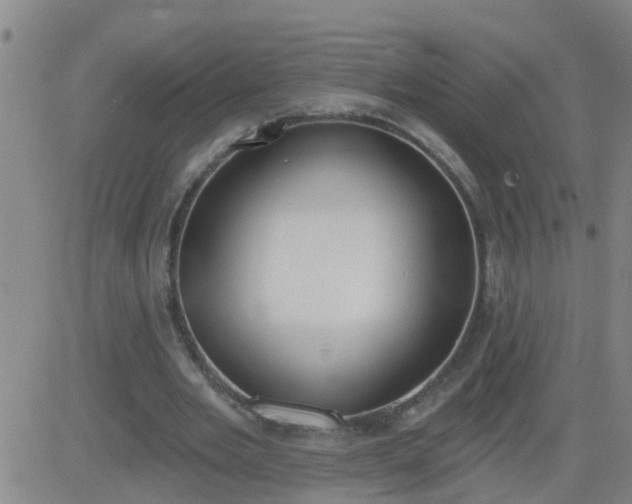 X0000083530485200702161916