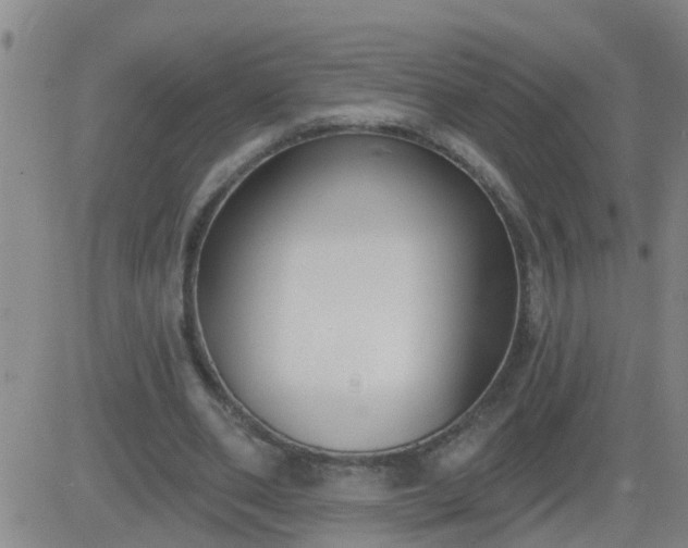 X0000083530486200702161916