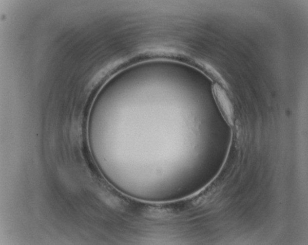 X0000083530487200702161916