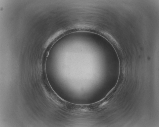 X0000083530488200702161916