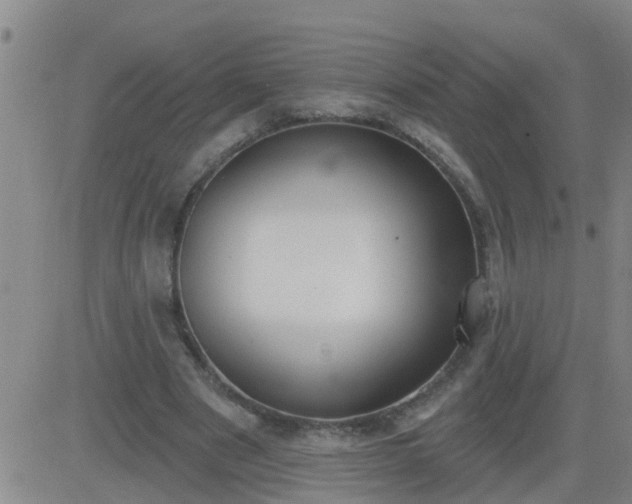 X0000083530489200702161916