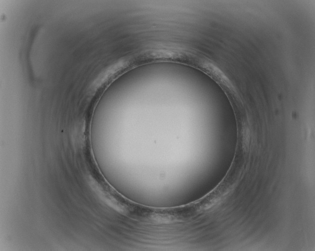 X0000083530490200702161916