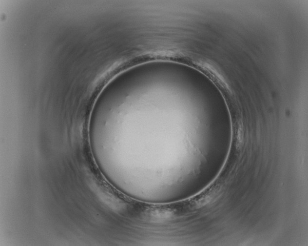 X0000083530491200702161916