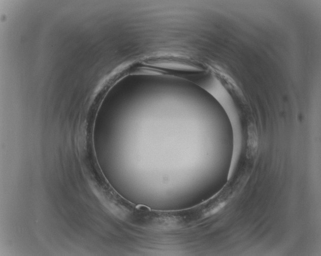 X0000083530492200702161916