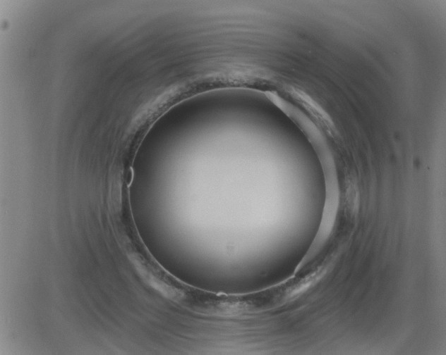 X0000083530493200702161916