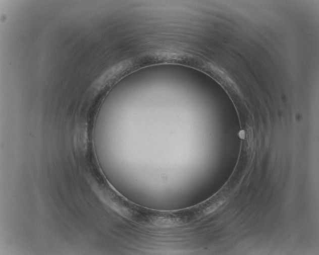 X0000083530494200702161916