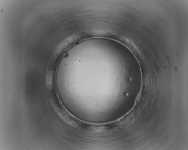 X0000083530495200702161916