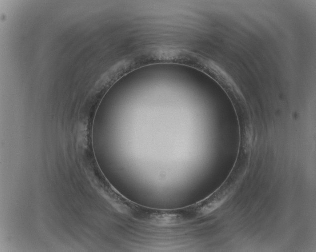 X0000083530497200702161916