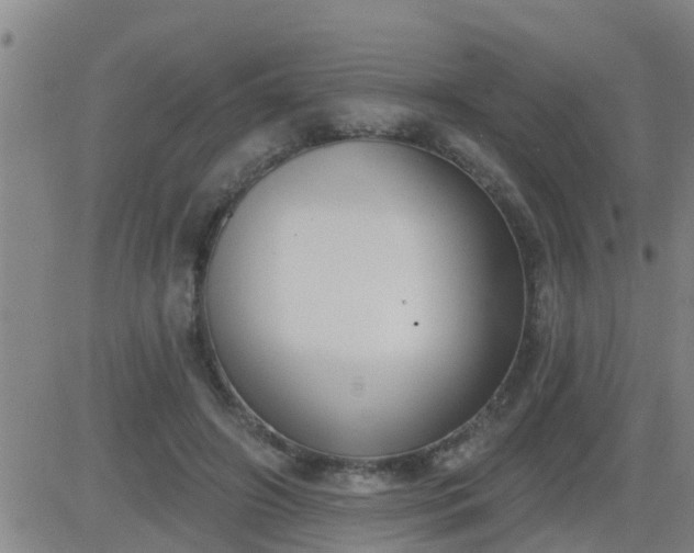 X0000083530498200702161916