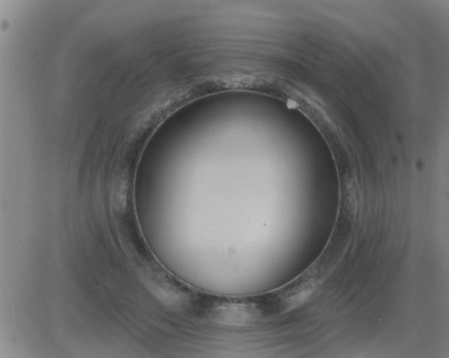 X0000083530499200702161916