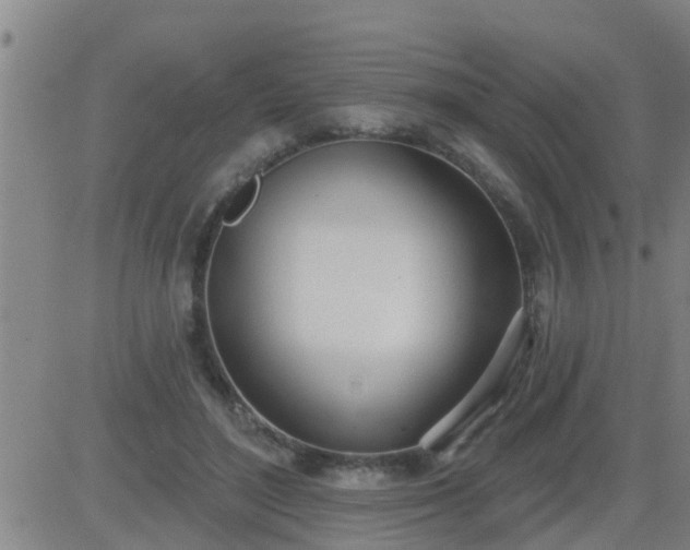 X0000083530500200702161916