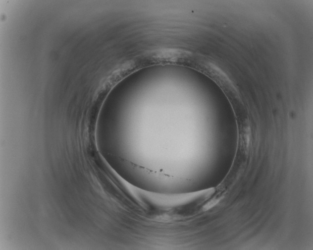 X0000083530504200702161916