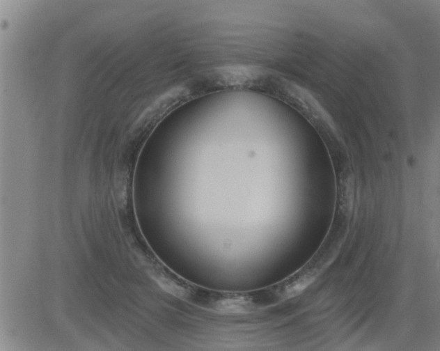 X0000083530505200702161916