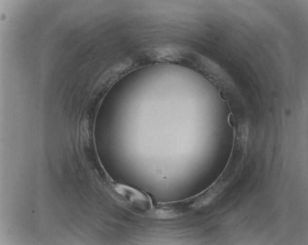 X0000083530506200702161916