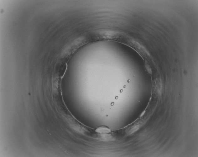 X0000083530509200702161916