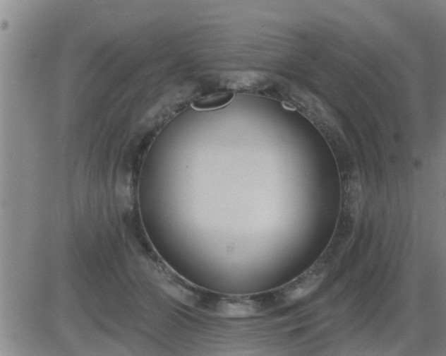 X0000083530510200702161916