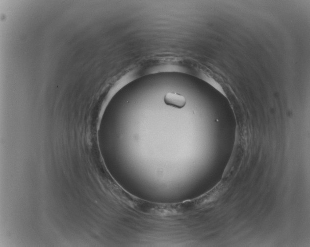 X0000083530512200702161916