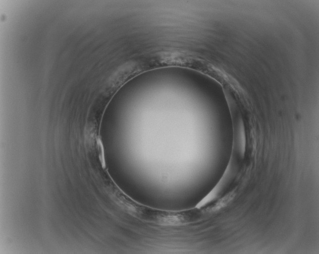 X0000083530513200702161916