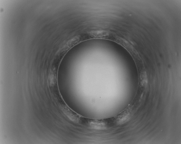 X0000083530515200702161916