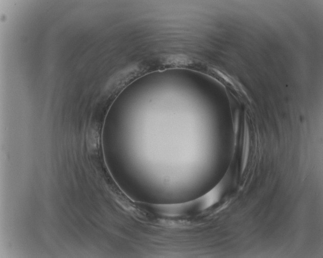 X0000083530517200702161915