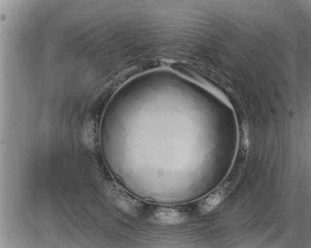 X0000083530519200702161915