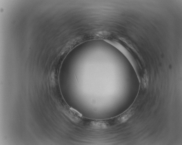 X0000083530520200702161915