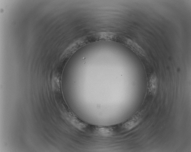 X0000083530522200702161915