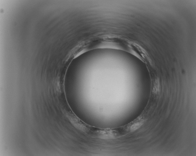 X0000083530524200702161915