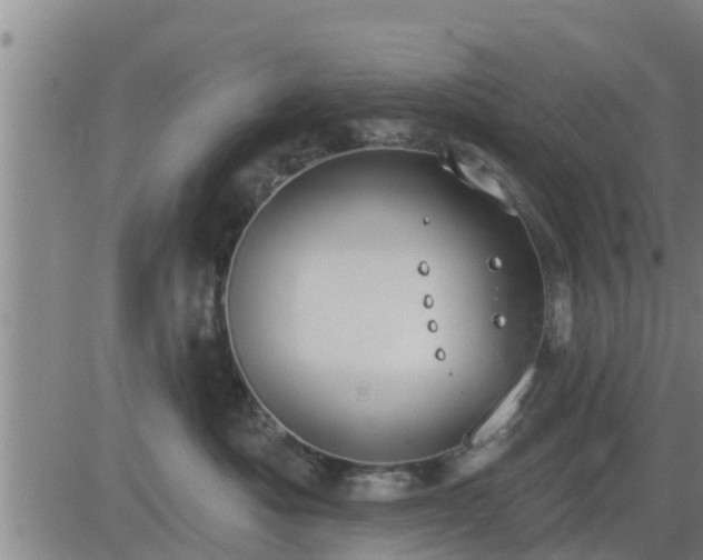 X0000083530525200702161915