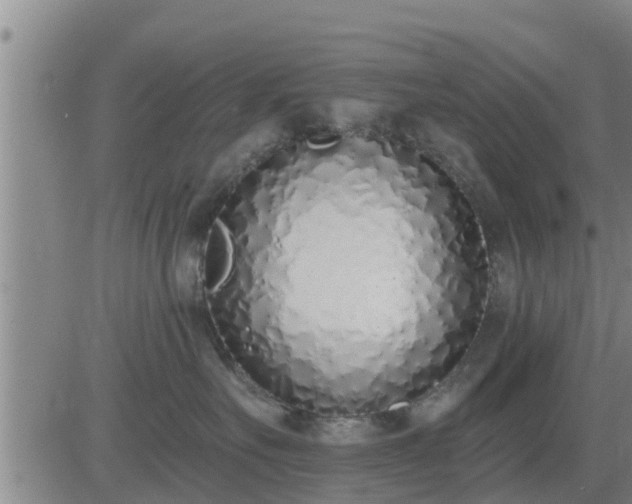 X0000083530527200702161915