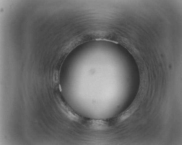 X0000083530528200702161915