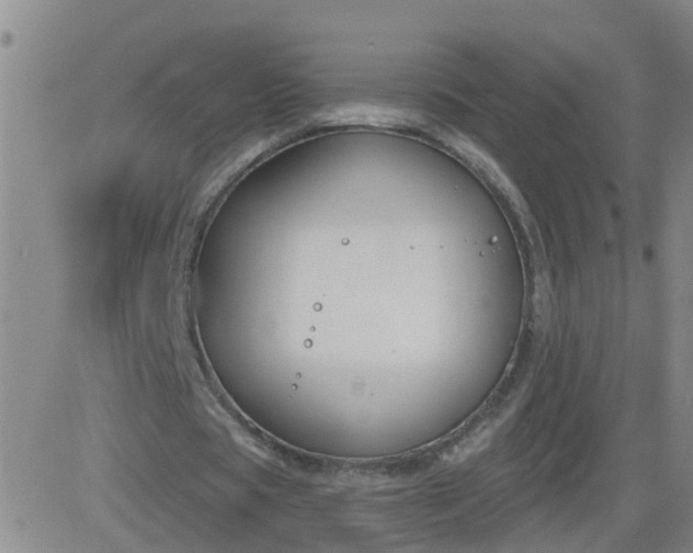 X0000083530529200702161915