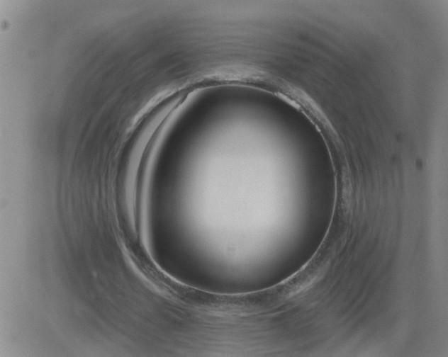 X0000083530530200702161915