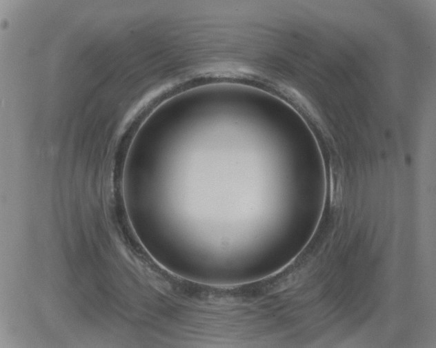 X0000083530531200702161915