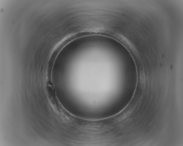 X0000083530532200702161915