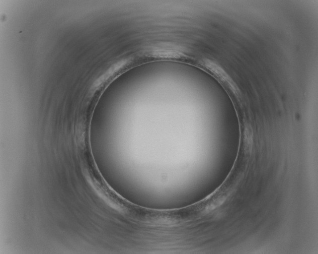 X0000083530533200702161915