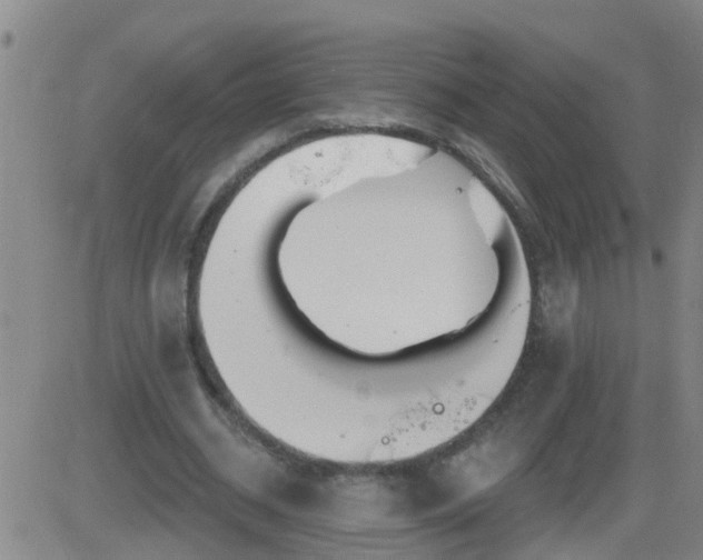 X0000083530534200702161915