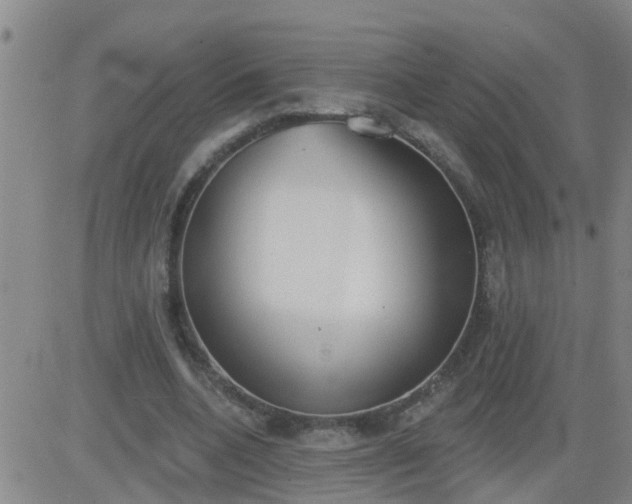 X0000083530536200702161915