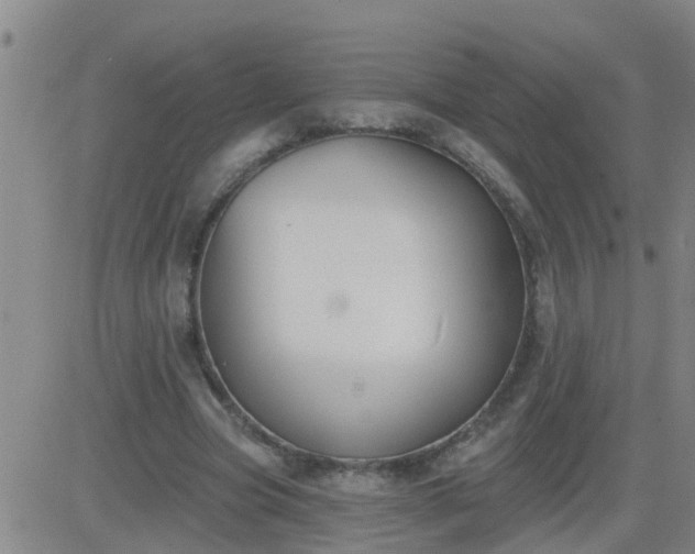 X0000083530537200702161915